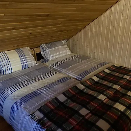 Forest River Tatil Evi Vilnius